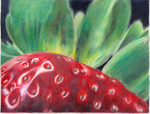 Close up drawing of a strawberry
