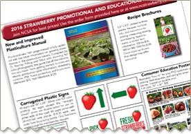 GET YOUR 2021 PROMOTIONAL CATALOG!